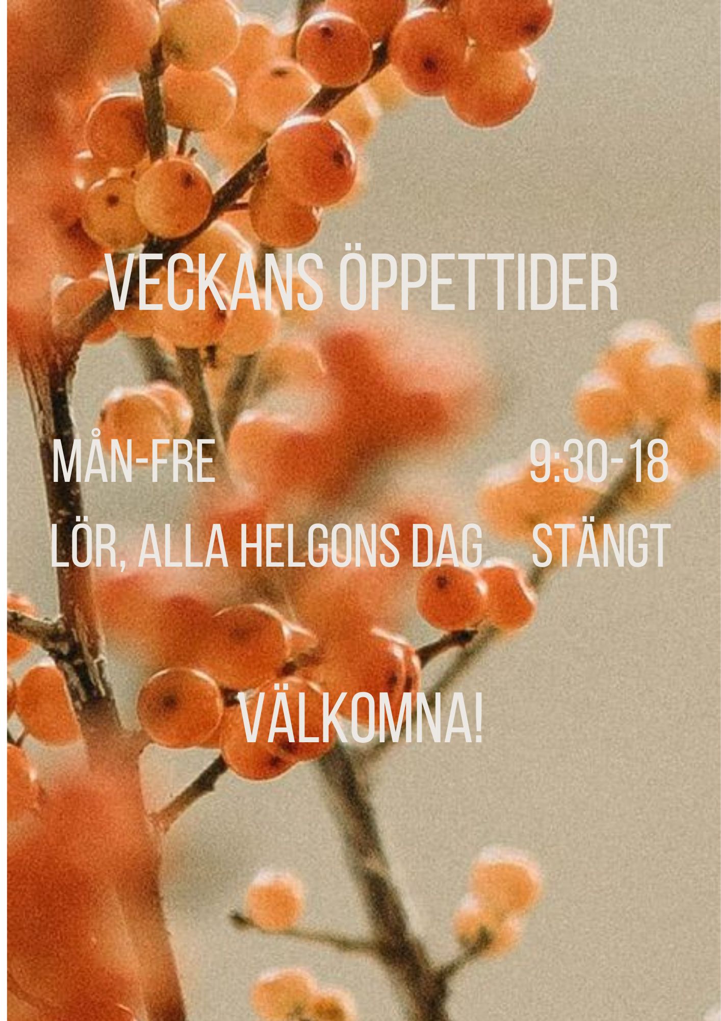 Öppettider allahelgona